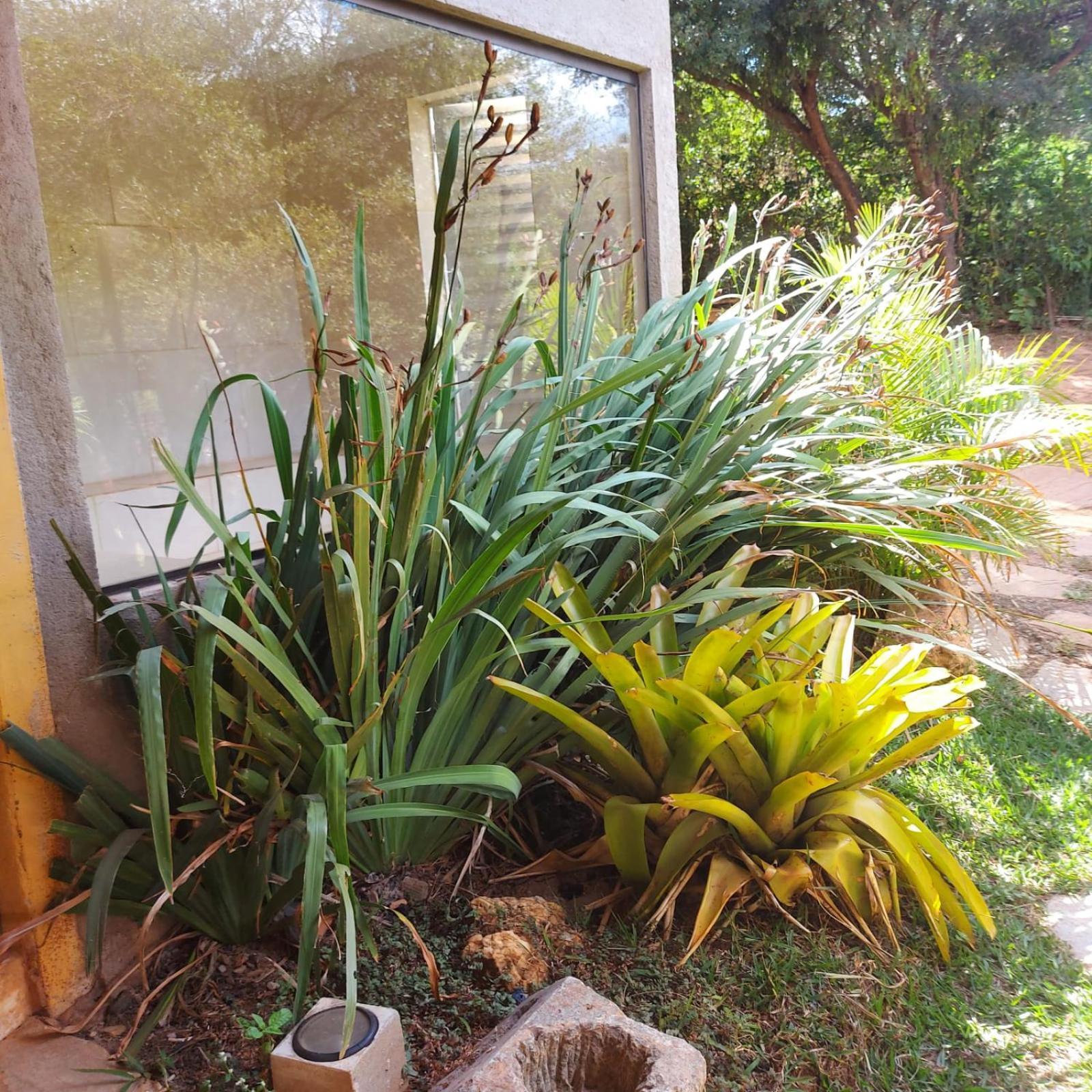 Casas E Apartamentos Da Praia, Lapinha Na Beira Do Lago Santana Do Riacho Exteriér fotografie